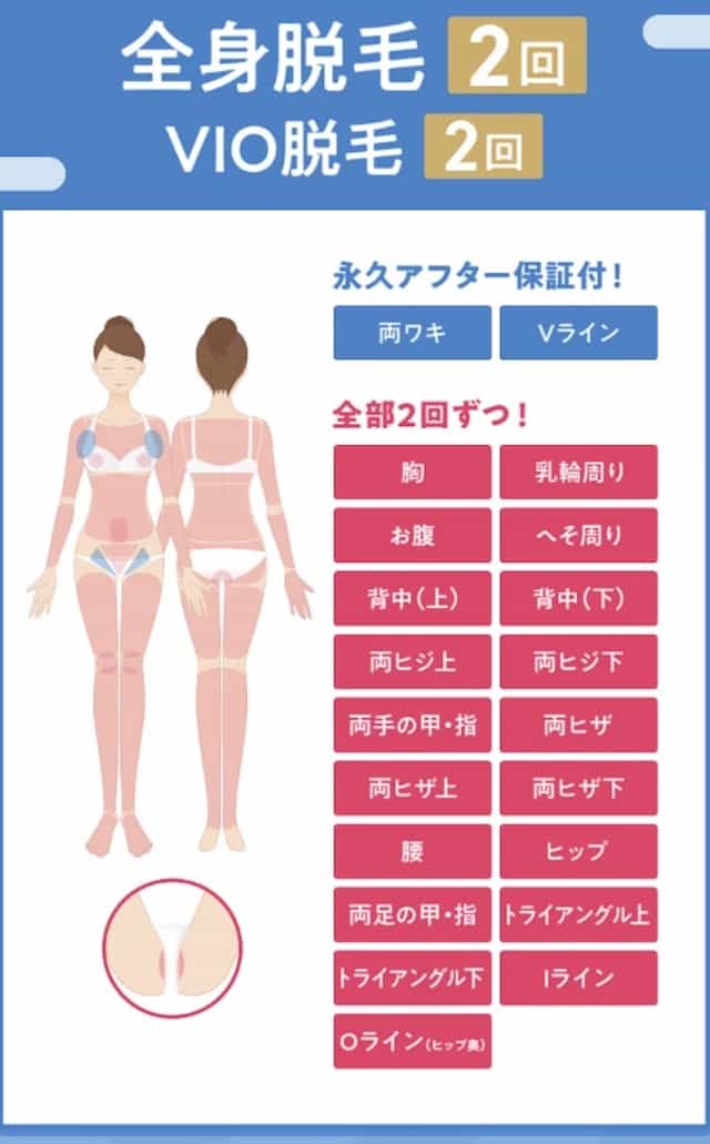 脱毛部位